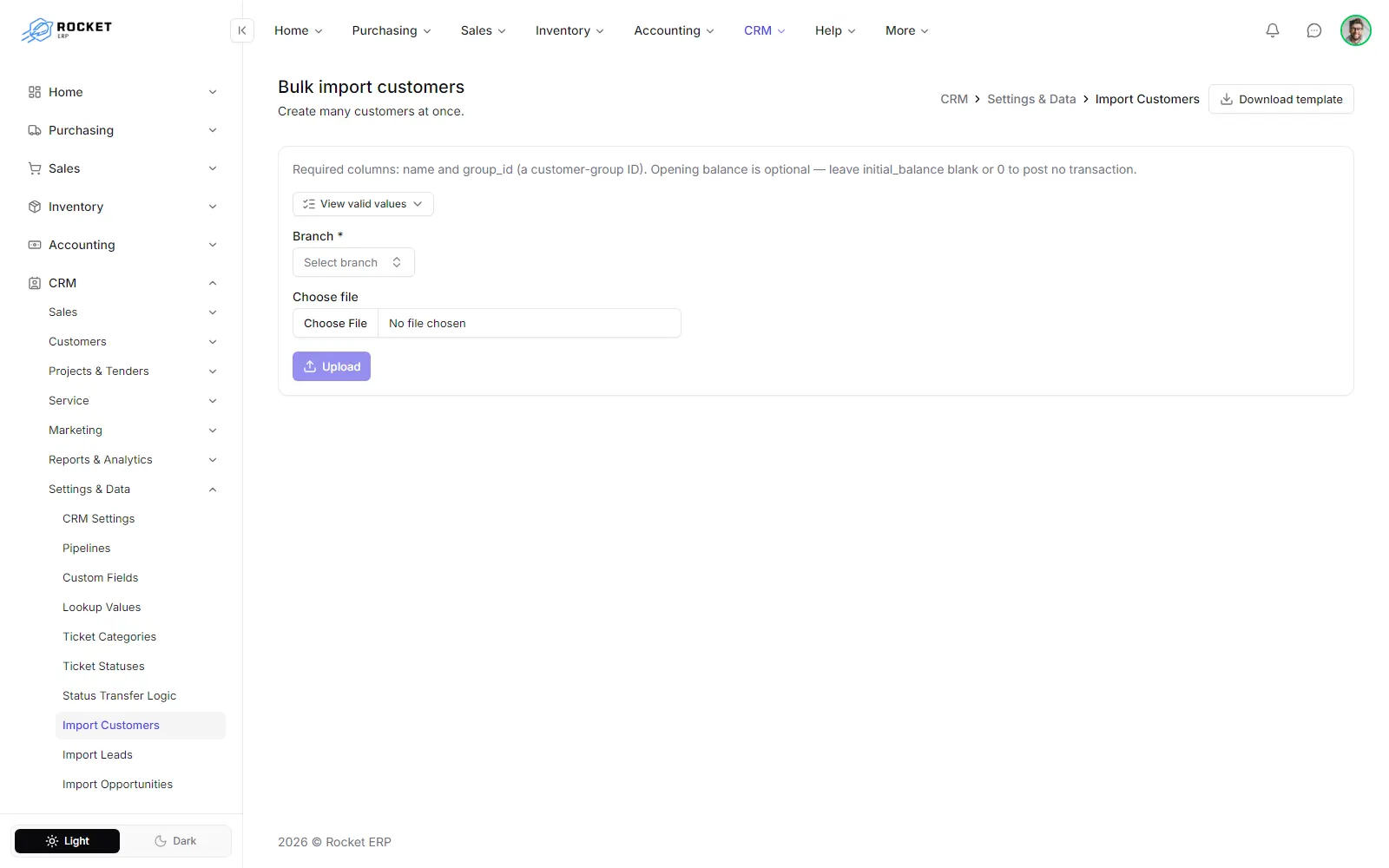 The customer import screen with the template, branch and file controls