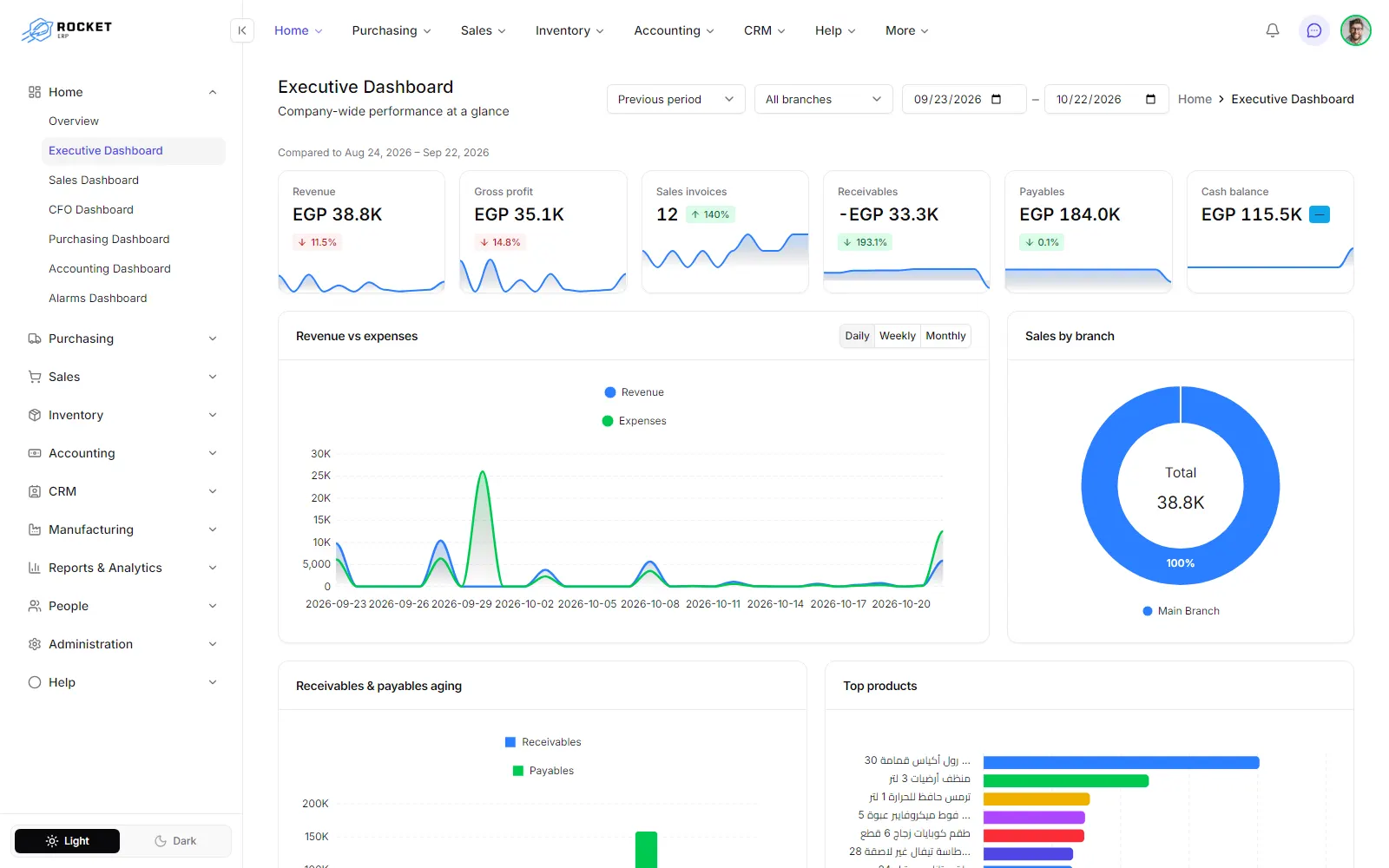 The executive dashboard with its KPI tiles, revenue chart and branch breakdown