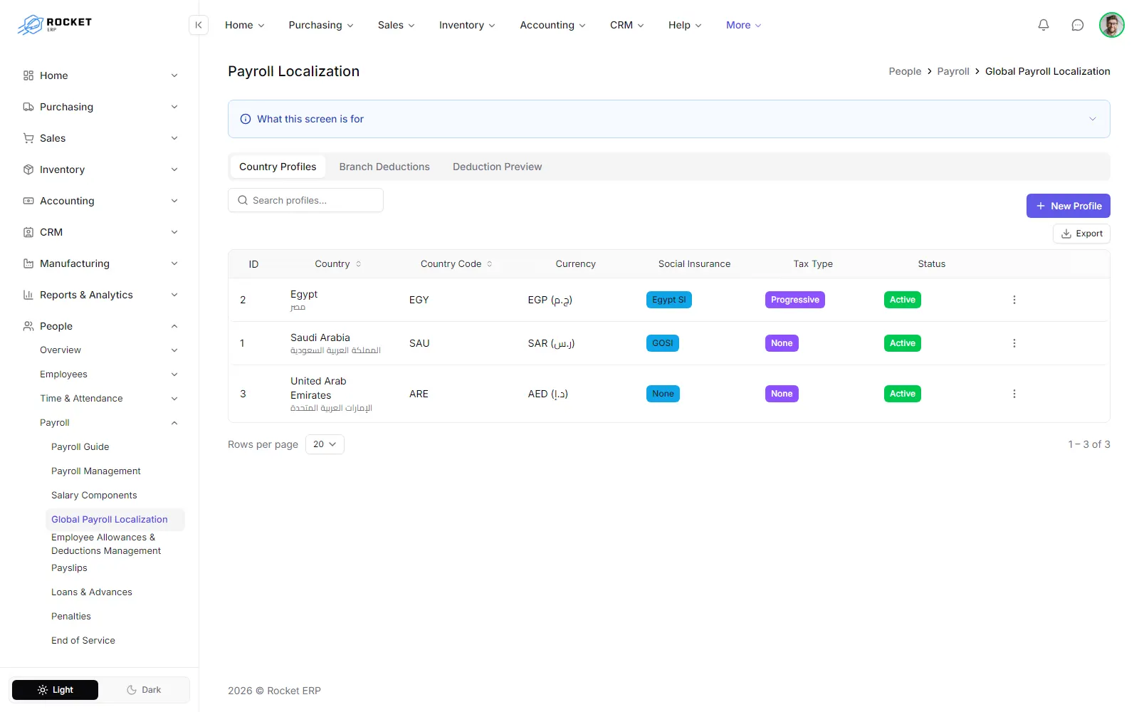The Country Profiles tab with each country's code, currency, social insurance and tax type